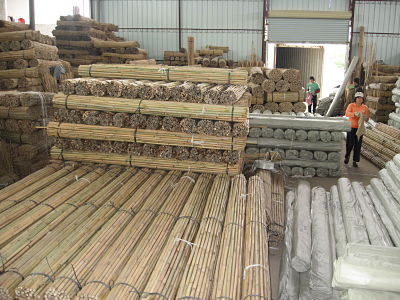 bambuk-iz-kitaya